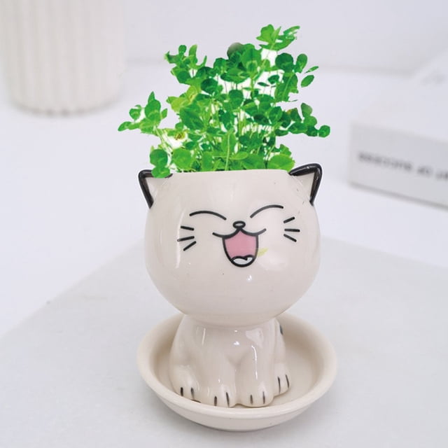 Ceramic Flowerpot Mini Cat Shaped Cartoon Potted Plant Desktop Potted Expression Cat Plant Pot Desk Decorate Small Ornament