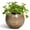 Speckled Blue, variant on Ordivic 4 inch Reactive Glaze Blue Ceramic Plant Pot with Drainage Hole & Plug, Small Decorative Indoor Planter for Pothos Peperomia Cactus Houseplant, Desktop Home Office Decor