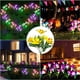 thumbnail image 5 of El jardín al aire libre de las luces solares, el jardín solar enciende la lámpara solar llevada cambiante multicolora al aire libre de la flor, 5 of 5