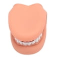 thumbnail image 1 of Marioneta De Mano Con Boca, Modelo Educativo Para El Cuidado De Los Dientes, 28 Dientes Con Lengua Para La Enseñanza De Niños, 1 of 7