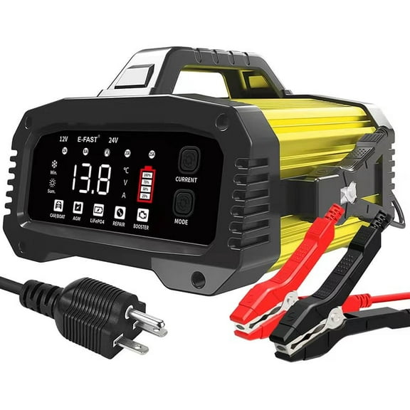 25A 12V/24V LiFePO4 Lead Acid Battery Charger Trickle Maintainer for Truck Boat