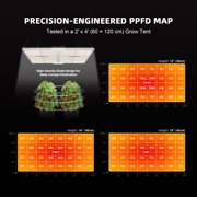 Spider Farmer SF2000 200W Full-Spectrum Dimmable LED Grow Light For 4×2’/5×3′ Hydroponics, Smart GGS Compatible
