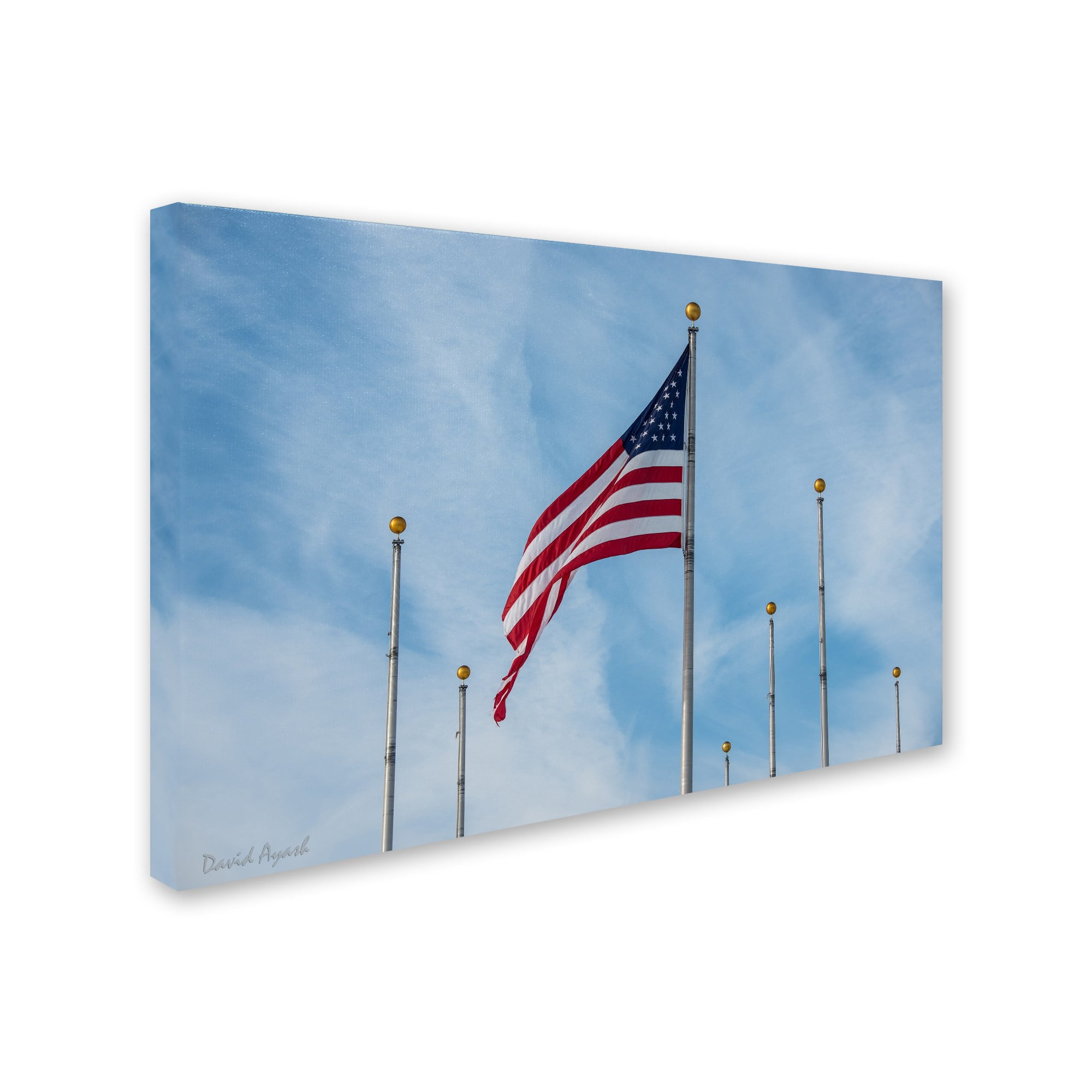 Trademark Fine Art "Red, White and Blue" Canvas Art by David Ayash
