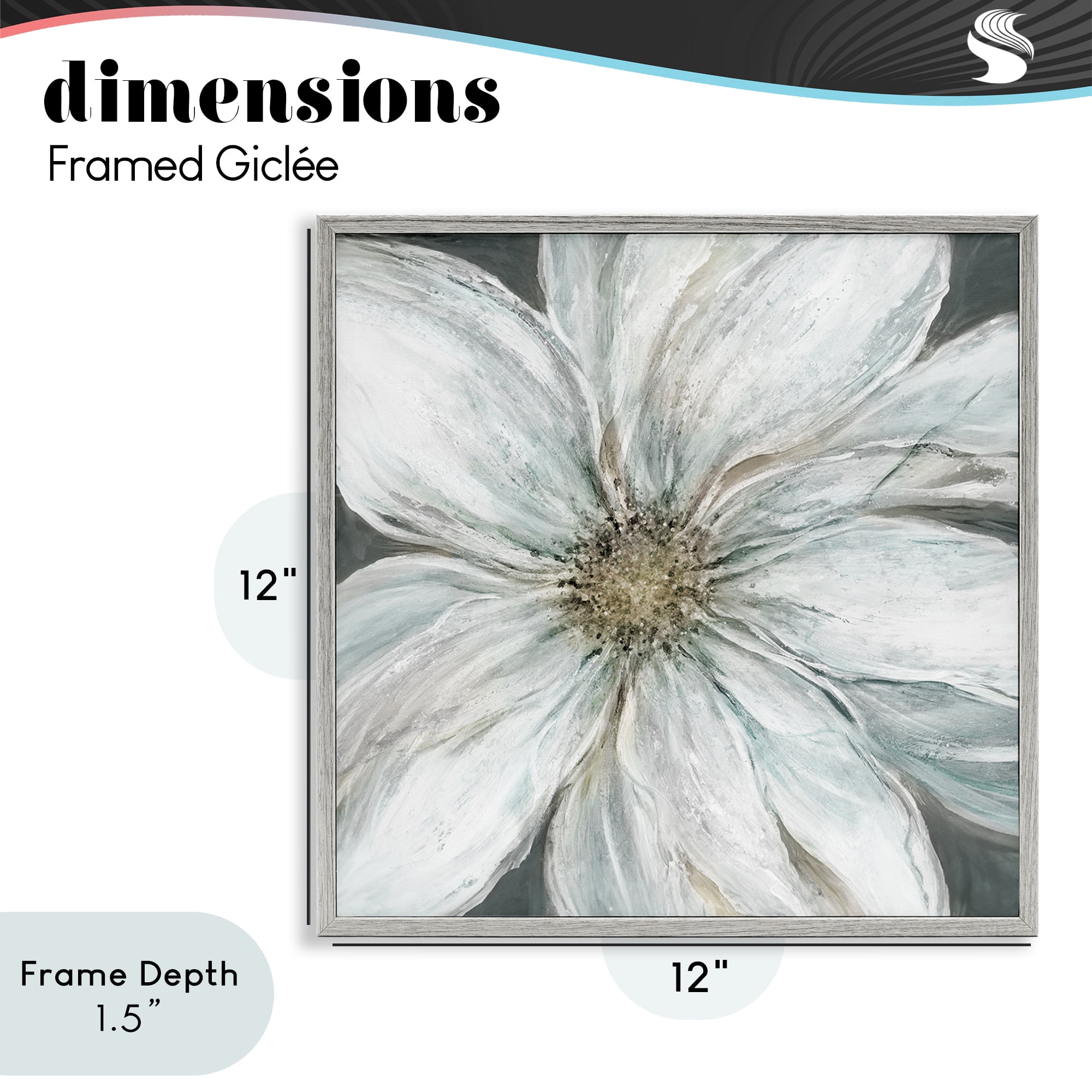 Stupell Industries Large White Flower Closeup Gray Framed Giclee Art, design by Carol Robinson