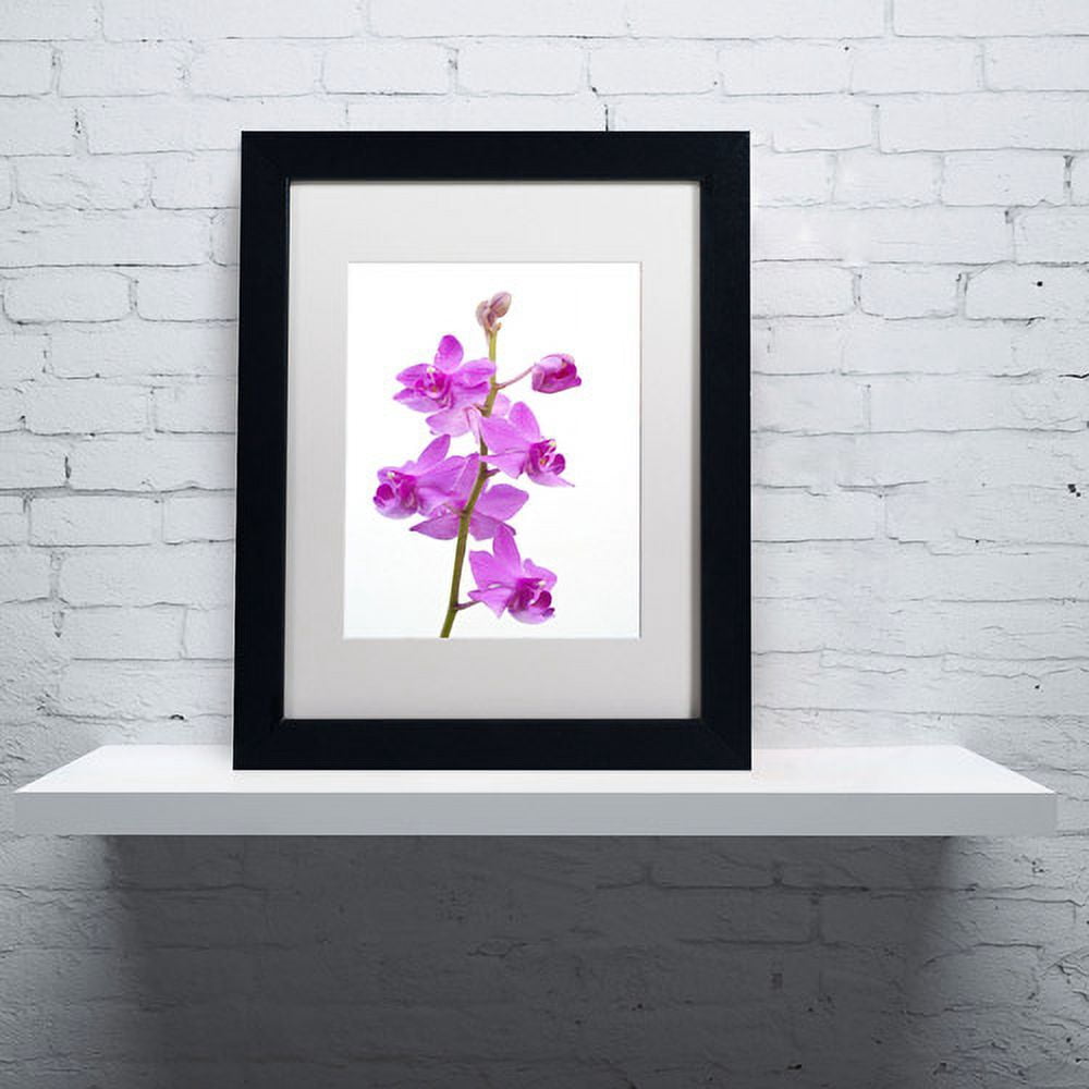 Trademark Fine Art "Purple Orchids" Canvas Art by Kurt Shaffer, White Matte, Black Frame