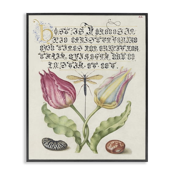 Stupell Industries Shabby Chic Vintage Intertwined Flowers Black Framed Giclee Art, 11 x 14, by June Erica Vess