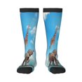 thumbnail image 1 of Balery Elephant Giraffe Calcetines novedosos Calcetines deportivos Calcetines hasta la rodilla Calcetines de algodón Calcetines originales y geniales, 1 of 6