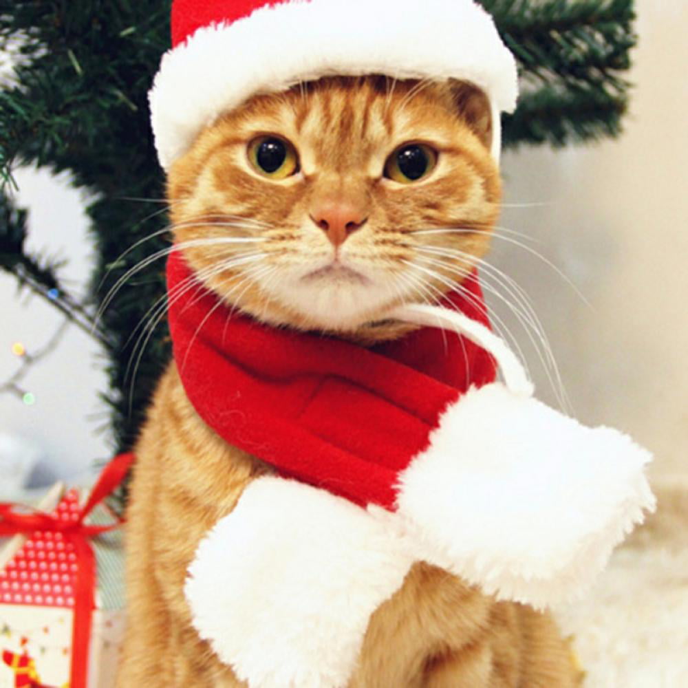 Mummumi Pet Christmas Hats with Scarf Cat Holiday and Christmas Hat with Scarf Puppy Dog Santa Hat Pet Accessory,Red 