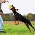 thumbnail image 3 of Ssxjv Throwing Ball Dog, Natural Rubber Ball Rope, Ball For Dogs, Dog Ball, 3 of 5
