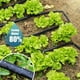 thumbnail image 4 of 2 Mangueras de Jardín para de Riego por , Manguera de Remojo de 30 M (15 M X 0,6 M), Manguera de para Jardín, Ahorra Hasta un 80 % de Agua, A Prueba de Fugas., 4 of 5