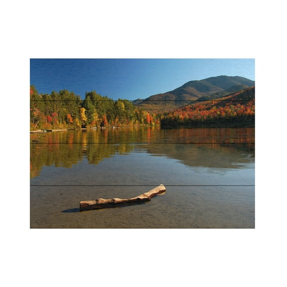 Nicole Dietz 'The Adirondack Driftwood' Wood Slat Art 12x16