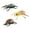 B suit, variant on Realistic Bugs Model Figurine Set Of 3 For Kids Science Learning Educational Toy Detailed Figure Student Biology Toy