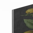 thumbnail image 2 of Luxe Metal Art 'Lemon Citrus' by lettered & lined, Metal Wall Art, 24"x36", 2 of 9
