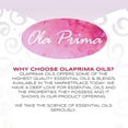 thumbnail image 5 of Ola Prima Eucalyptus Essential Oil, 4 fl oz, 5 of 6