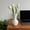 B, variant on Decorative Vase - Modern Boho Style Ribbed Plastic Bud Vases for Flowers, Mini Small Vases for Shelf, Shelves, Bookshelf, Entryway Table & Home Decor Aesthetic