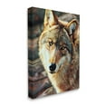 thumbnail image 3 of Stupell Wolf Gazing Wildlife Animal Portrait Animals & Insects Painting Gallery Wrapped Canvas Print Wall Art, 3 of 7