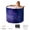 Purple StarrySky, variant on GIATUEE Portable Collapsible Bathtub for Adults – Freestanding PVC Soaking Tub with Thickened Thermal Foam for Hot & Ice Bath, Indoor/Outdoor Shower Use (Galaxy Purple)