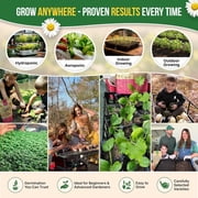 Organo Republic - 15 Medicinal & Tea Herb Seeds Varieties - 6,420+ Non GMO Heirloom Garden Seeds