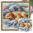 thumbnail image 1 of Kit Punto Cruz Perro Impreso Hilo Algodón Ecológico Bordado Arte 40x40cm 11CT, 1 of 9