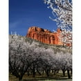 thumbnail image 3 of Leahy, Ike 15x18 Black Modern Framed Museum Art Print Titled - Capitol Reef, 3 of 5