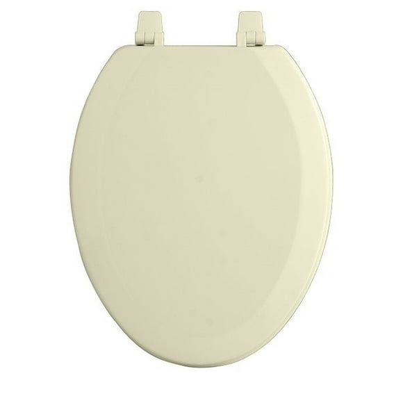 19 Inch High Toilets