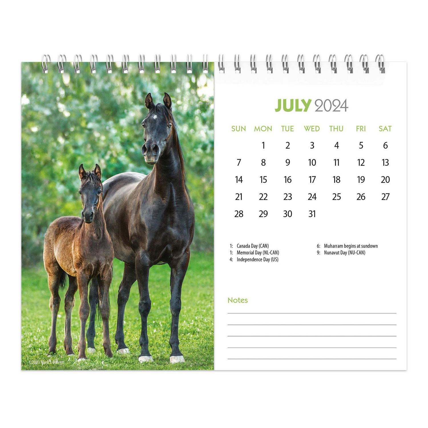 BrownTrout Amoureux des chevaux 2024 Chevalet Double Vue pour Bureau 19x18.7 CM, 9781975471132