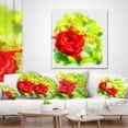 thumbnail image 4 of Designart Bright Red Rose on Light Green - Floral Throw Pillow - 12x20, 4 of 5