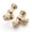 Brushed Brass, variant on 10 Pack Brushed Brass Cabinet Knobs - Gold Dresser & Drawer Knobs for Kitchen Cabinet Hardware