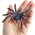 thumbnail image 5 of Realistic Giant Whiteknee Tarantula Spider Figure - Lifelike Insect Animal Figurine for Halloween Prank Props, Decoration, Educational Toy, 5 of 7