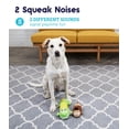 thumbnail image 4 of Juguete para perro Petstages Big Squeak Gator de peluche, tamaño mediano, 4 of 5