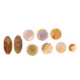 thumbnail image 1 of 9PCS Saxophone Key Pad, High Hardness Wear  Sax Finger Pad Buttons Replacement Accessories Saxophone Parts, 1 of 8