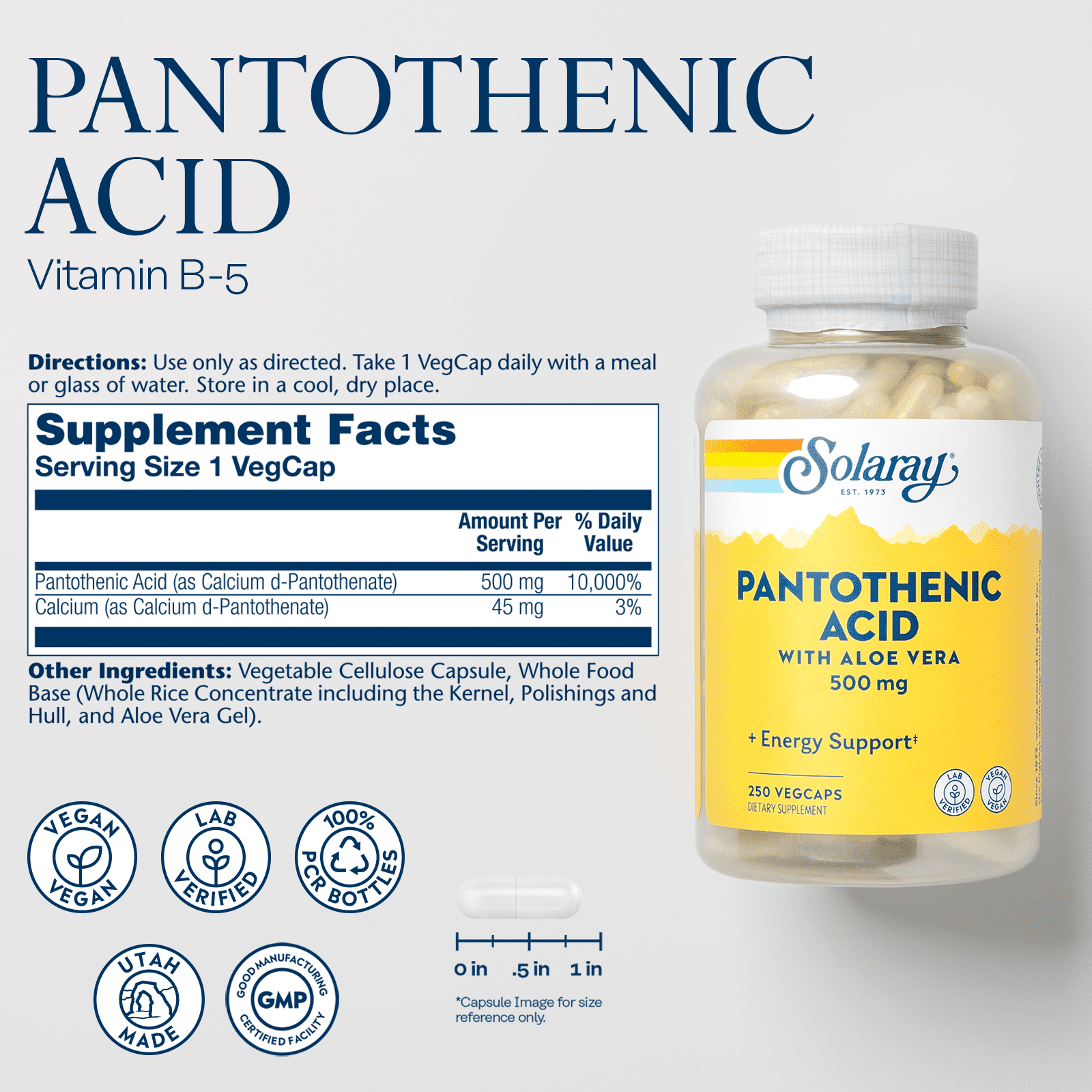 Solaray Pantothenic Acid 500mg | Vitamin B-5 for Coenzyme-A Production & Energy Metabolism | For Hair, Skin, Nails & Digestive Support | 250 VegCaps