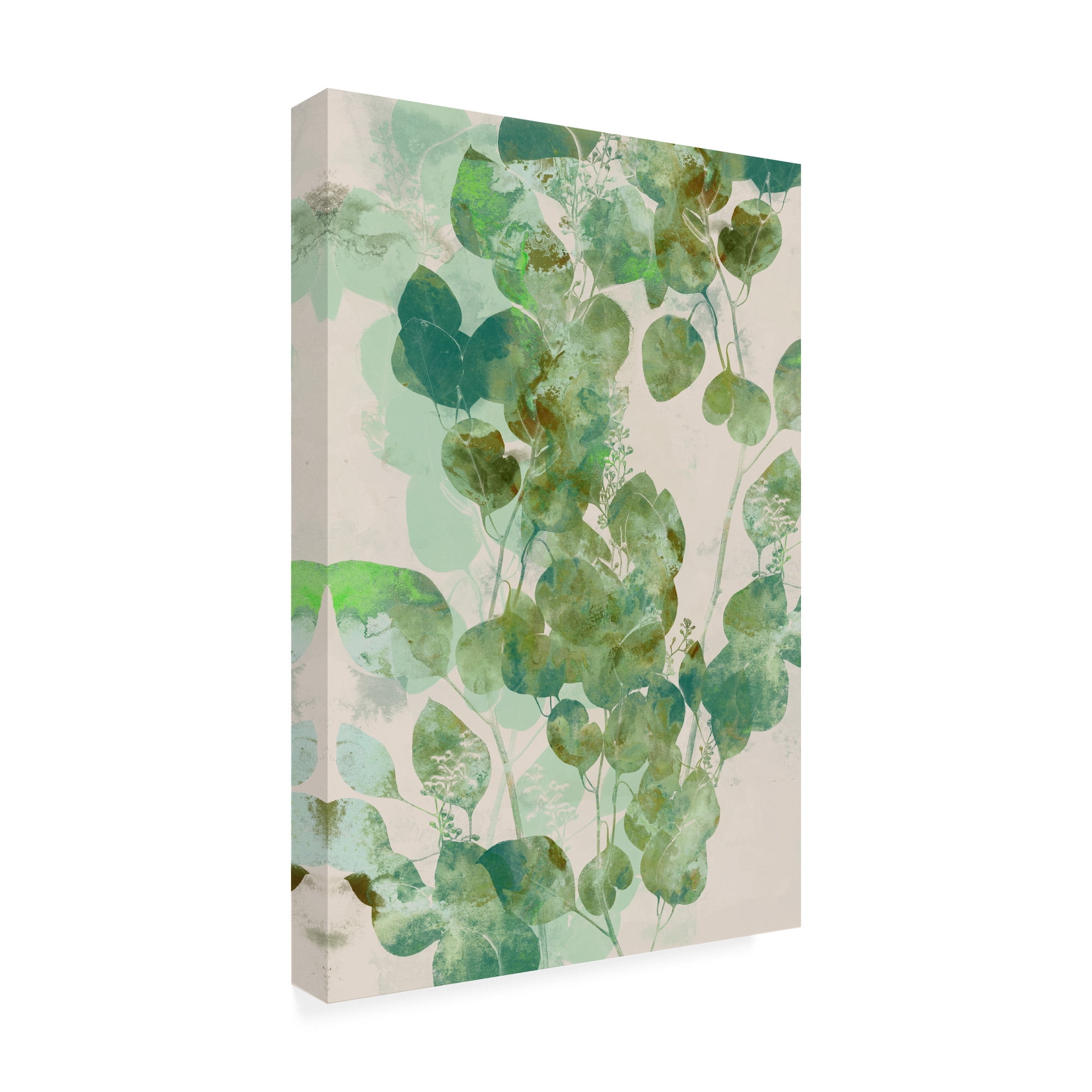 Trademark Fine Art 'Watercolor Eucalyptus I' Canvas Art by Jennifer Goldberger