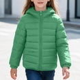thumbnail image 2 of Unisex Kids Jacket Hooded Padded Coat Full Zip Long Sleeve Warm Winter Outerwear with Zipper Side Pockets for Boys Girls, 2 of 9