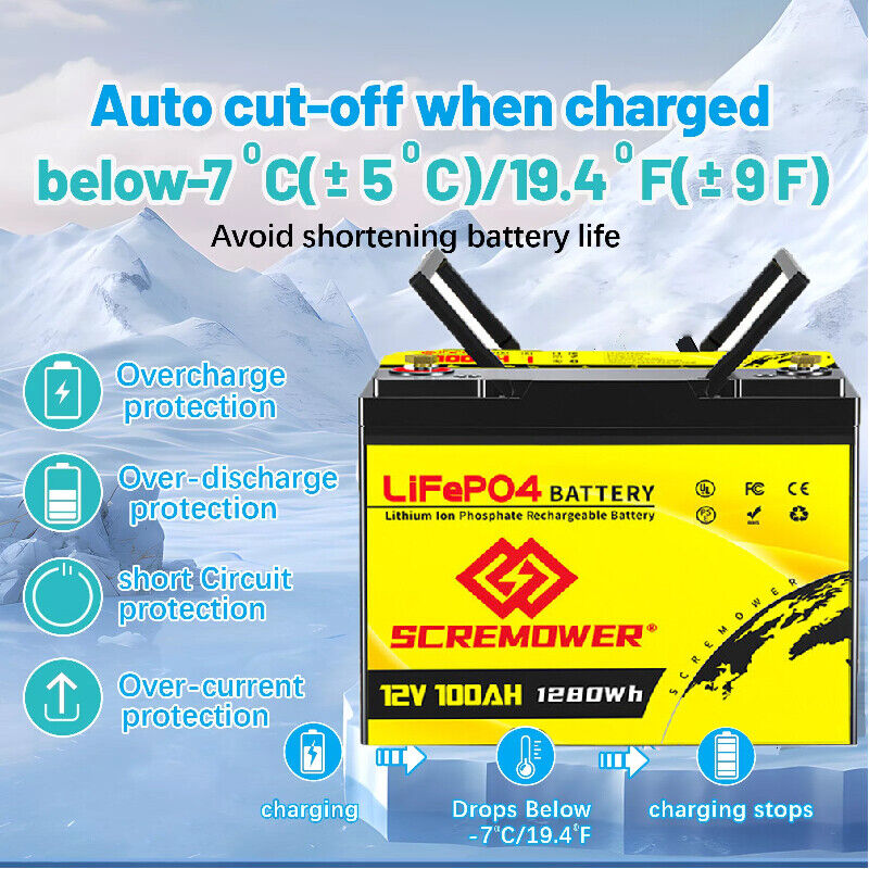 2 Pack 12V 100Ah LiFePO4 Deep Cycle Lithium Battery 100A BMS for Solar RV Home~