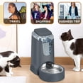 thumbnail image 5 of 2 Pack Cat Automatic Feeder and Water Dispenser with Stainless Steel Bowl, 5 of 7