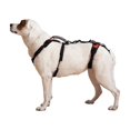 thumbnail image 1 of Arnés elevador para perros Help 'Em Up, soporte corporal completo, talla mediana, 1 of 6