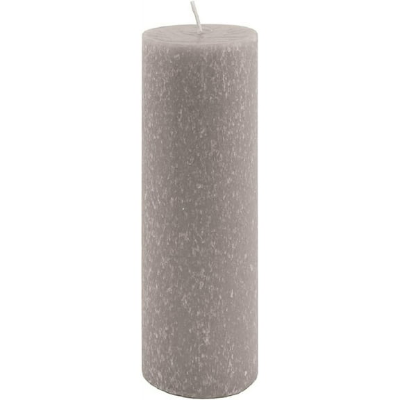 ROOT Candles Unscented Timberline⢠Pillar Candle, 3 x 9, Platinum, 1 Ea.