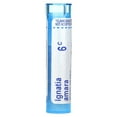 thumbnail image 5 of Boiron Ignatia Amara 6C Homeopathic Single Medicine For Stress & Sleep 1 Tube Pellet, 5 of 6