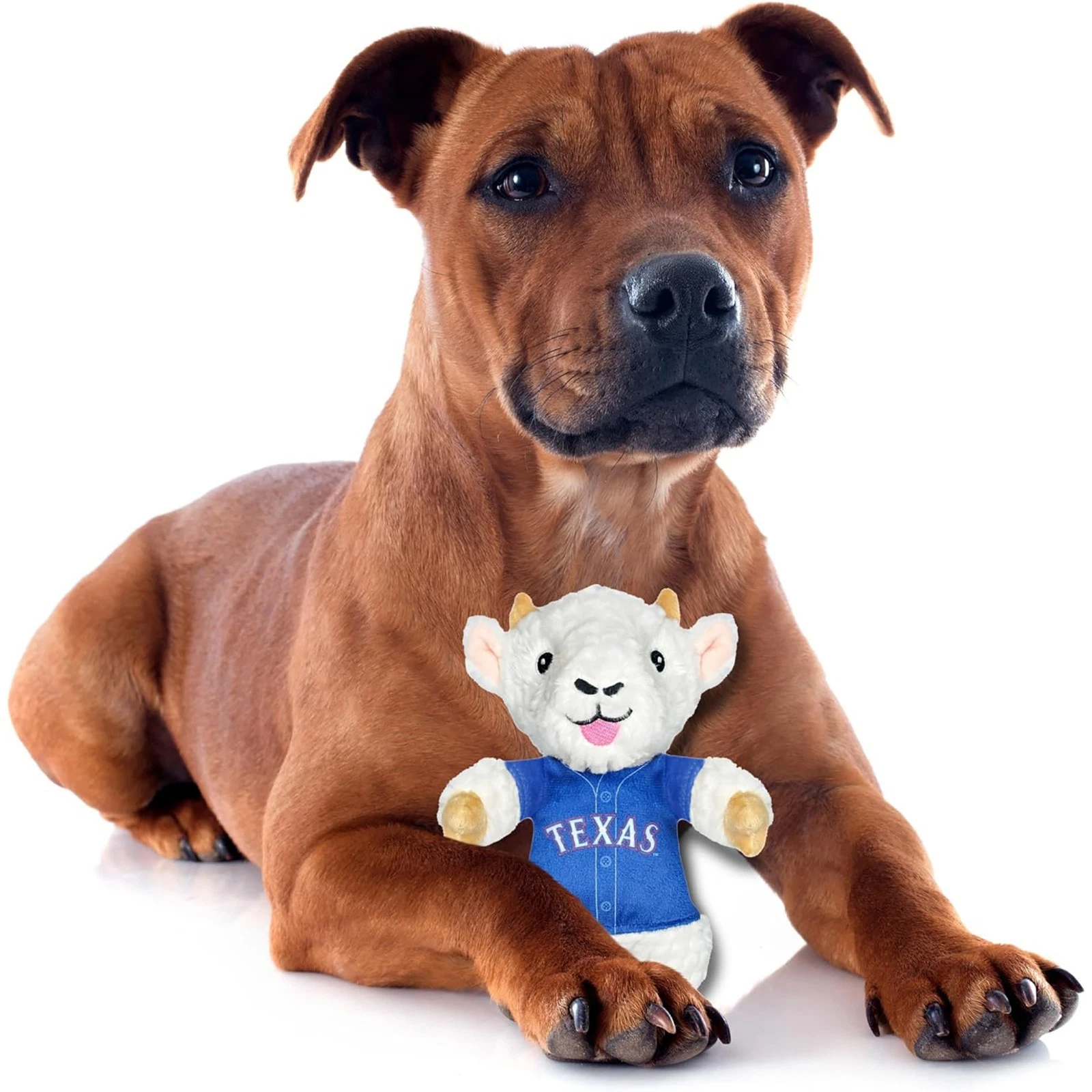 Pets First MLB Goat Plush Toy for Dogs & Cats Squeaky Dog Toy with Squeaker