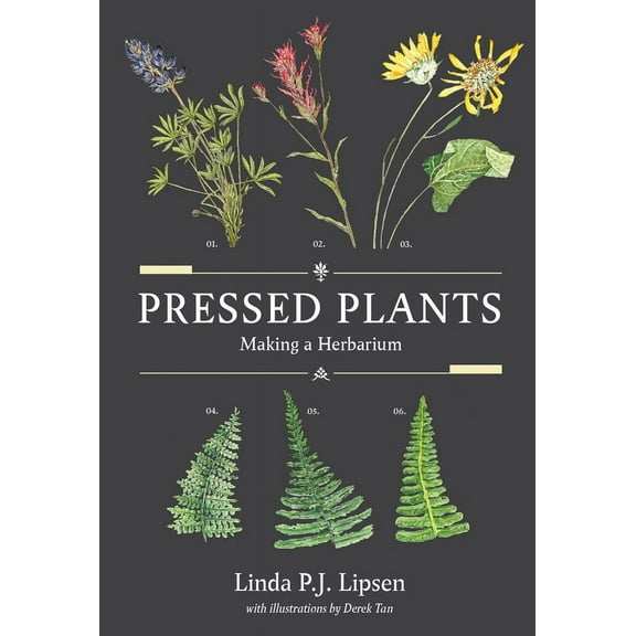 Pressed Plants : Making a Herbarium (Paperback)