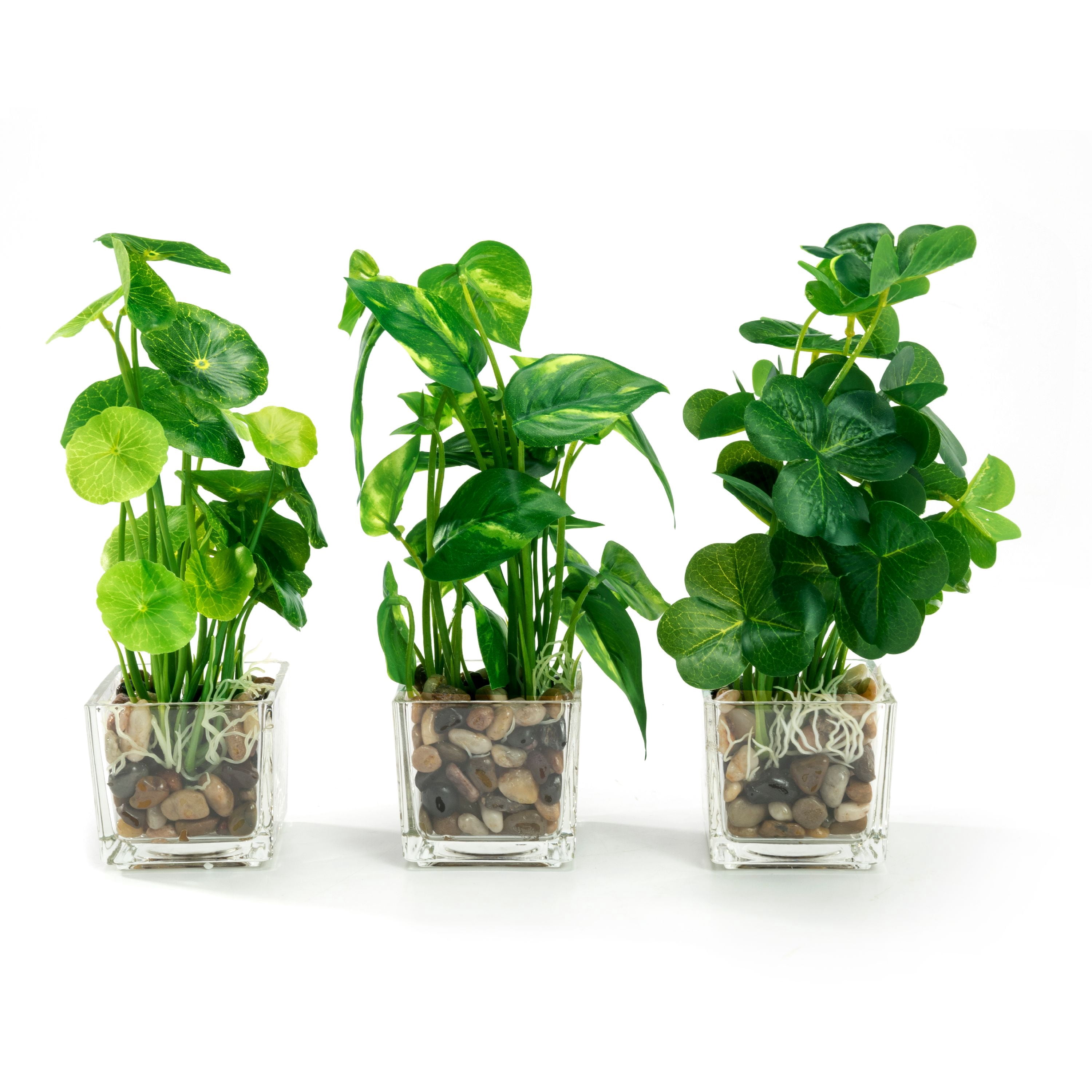 K-Cliffs 3pcs Modern Artificial Green Mini Faux Plants  in Glass Pots, Each plant- 5.7L x 5.7W x 9.3H inches; each pot- 2.7L x 2.7W x 2.6H, 1 lb