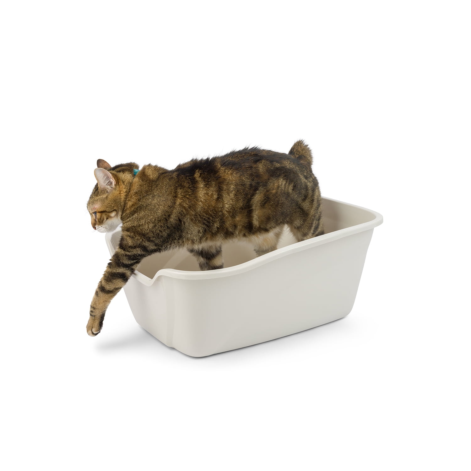 (4 pack) Van Ness High Sided Cat Litter Box, Giant, Color May Vary