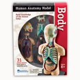 thumbnail image 1 of Modèle d'Anatomie du Corps Humain, 31 Pcs, 1 of 6