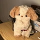 thumbnail image 3 of Good Night Dog Doll Birthday Gift Sleeping Doll for Girlfriend, 3 of 5