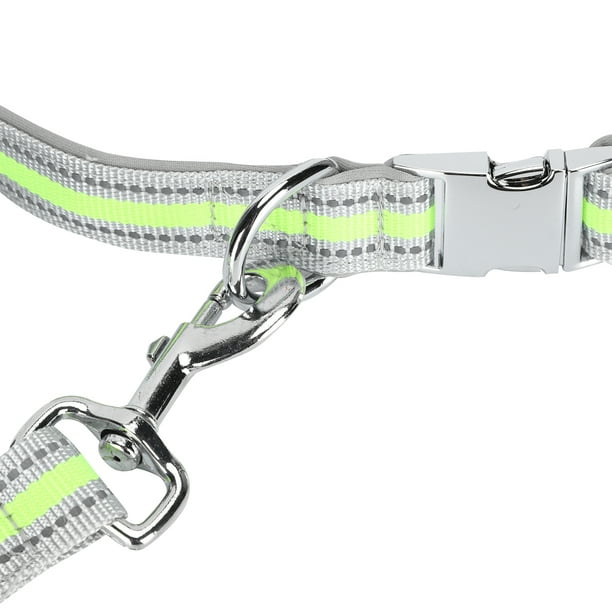 Metal dog leashes and clearance collars