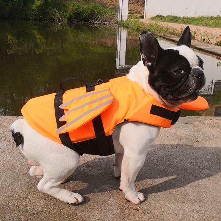 Dog , Reflective Preserver, Dog Lifesaver , with , Durable Adjustable for Pool Boating Swimming , M