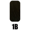 thumbnail image 3 of Zury Lurex 9 Clip-On 9 Pc 100% Human Hair 12" color 1B, 3 of 4