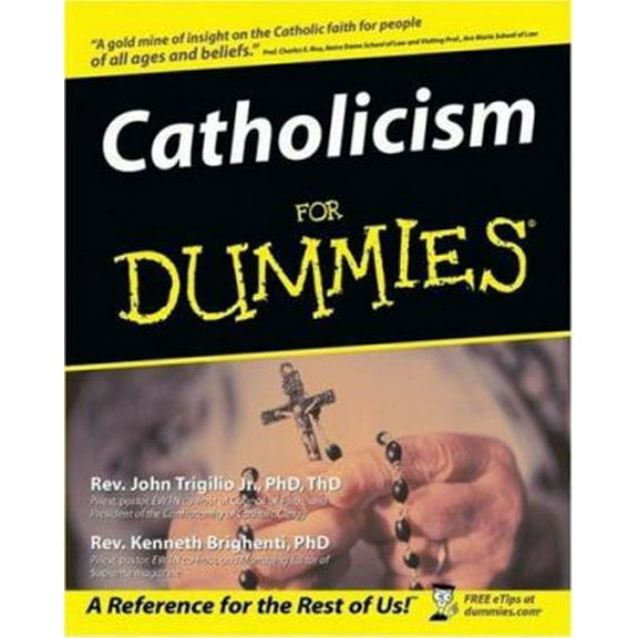 Pre-Owned Catholicism for Dummies (Paperback) 0764553917 9780764553912