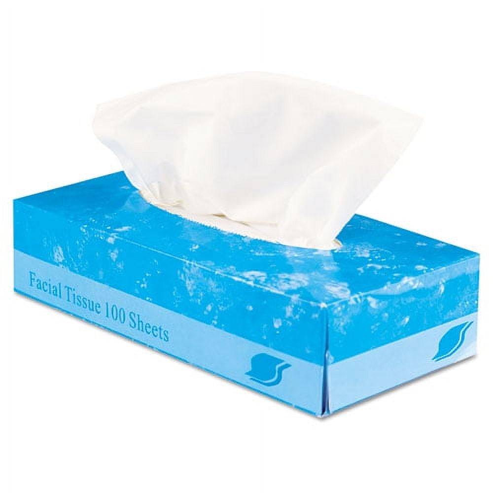 GEN Boxed Facial Tissue, 2-Ply, White, 100 Sheets/Box -GENFACIAL30100